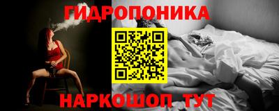сатива Кинель
