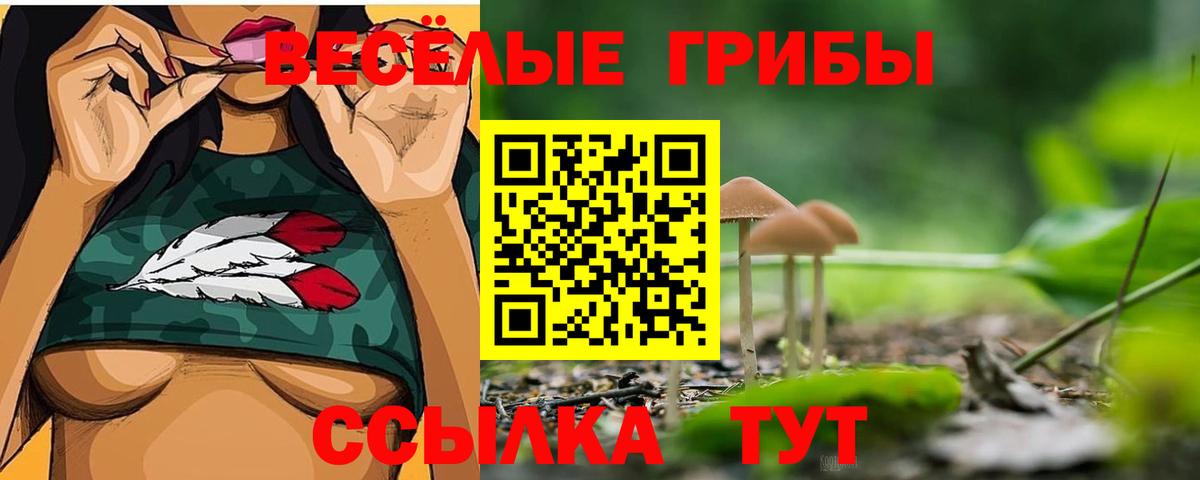 Галлюциногенные грибы прущие грибы Кондопога