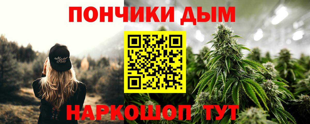 Каннабис планчик Кондопога